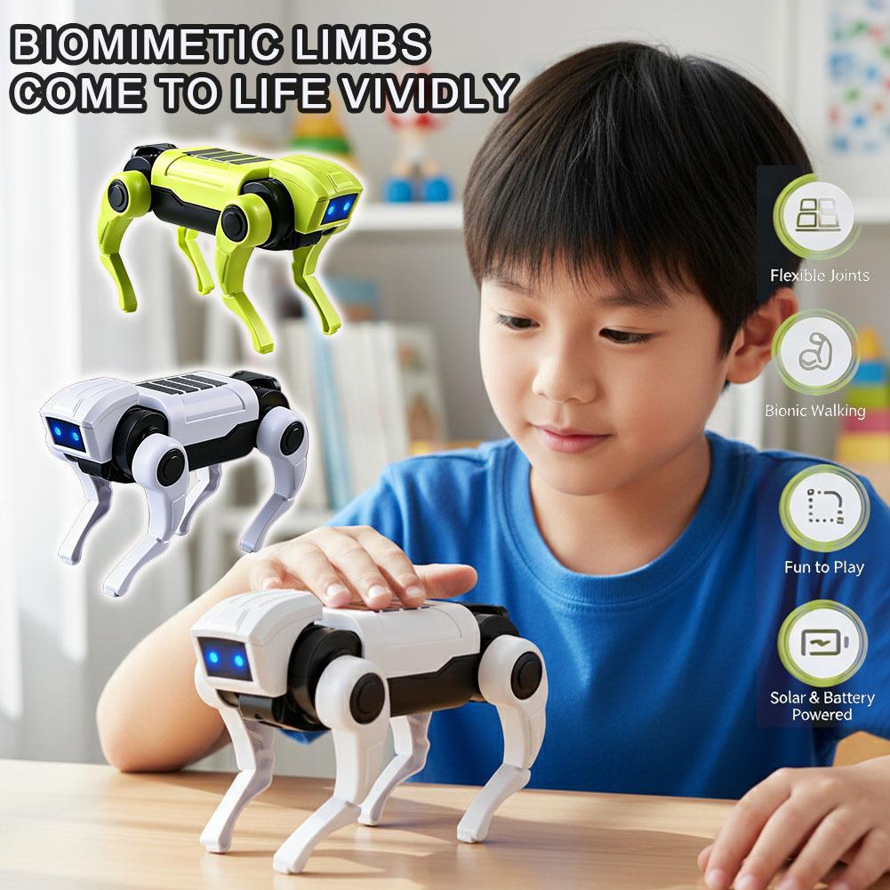 Zestaw do samodzielnego montaż – Science Robotics recenzja i cena